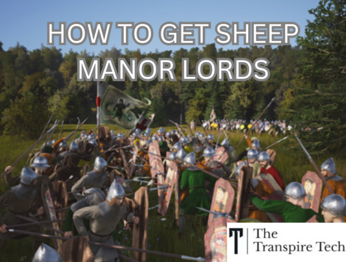 Manor Lords Sheep Farm