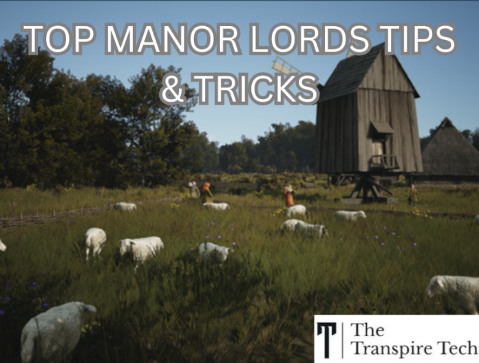 Top Manor Lords Tips & Tricks